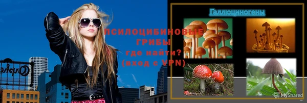 эйфоретик Богородицк