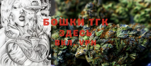 эйфоретик Богородицк