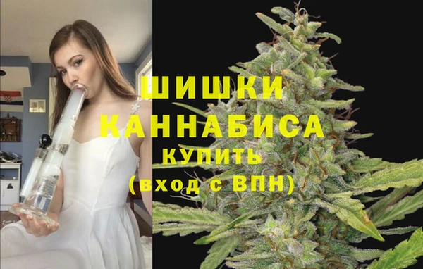 бошки Богданович