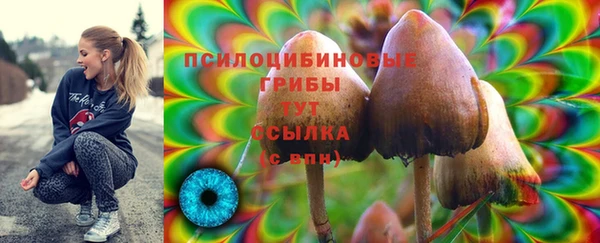 бошки Богданович