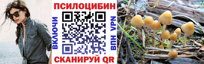 blacksprut онион  Монино  Галлюциногенные грибы GOLDEN TEACHER 